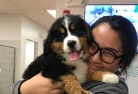 Aileen, la veterinaria