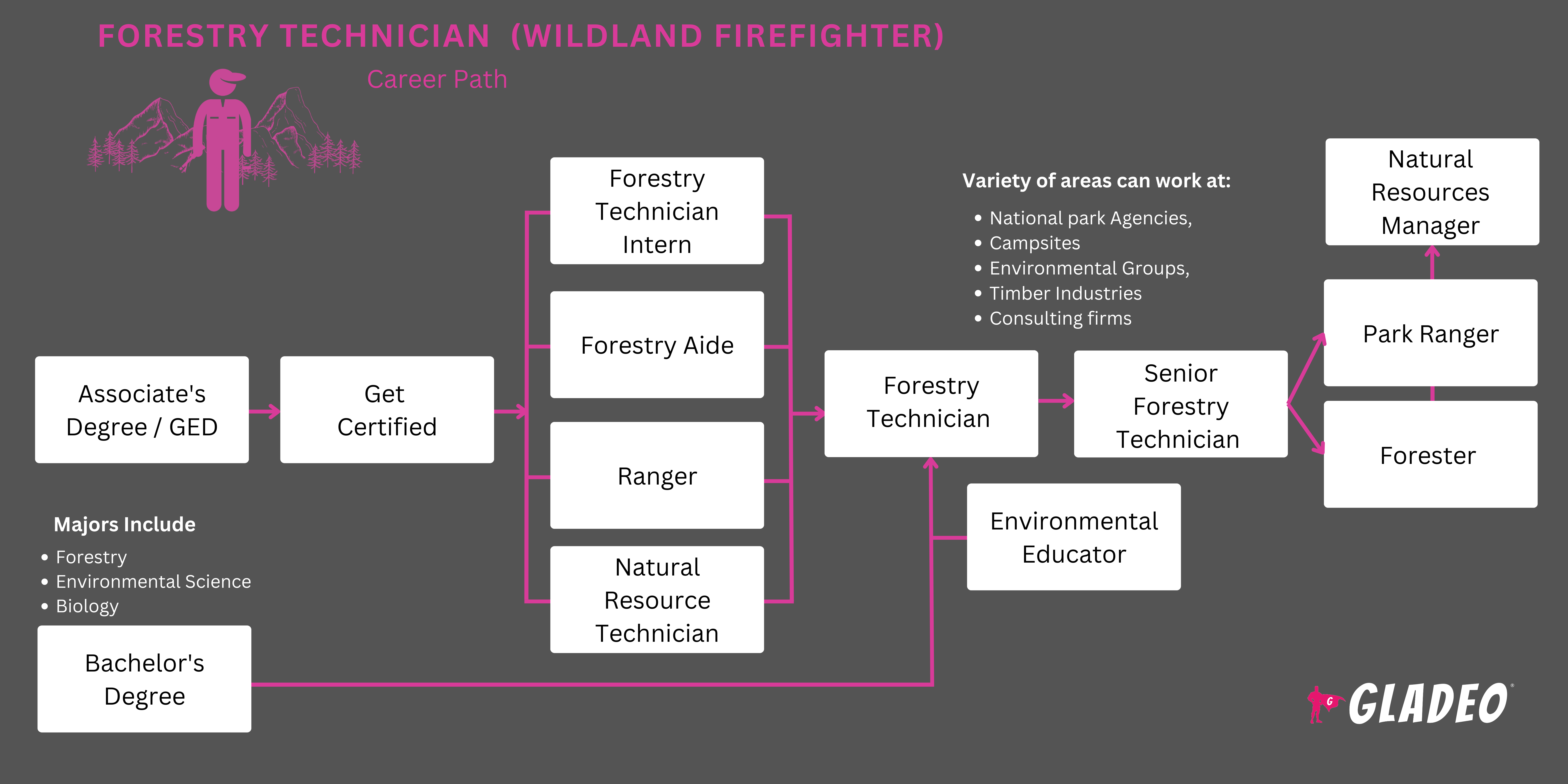 Hoja de ruta del técnico forestal (bombero forestal)