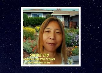 Jardines con uso eficiente del agua en Shelkie